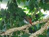 DSC02376.JPG