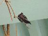 DSC02382.JPG