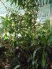 DSC02385.JPG