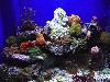 DSC02432.JPG