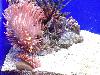 DSC02434.JPG