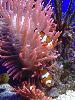 DSC02435.JPG