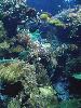 DSC02439.JPG