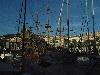 DSC02440.JPG