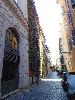 DSC02520.JPG