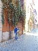DSC02522.JPG