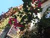 DSC02524.JPG