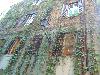 DSC02528.JPG