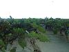 DSC02530.JPG