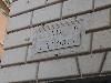 DSC02531.JPG