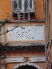 DSC02618.JPG