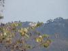 DSC02650.JPG