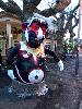 IMG 20150215 174126.jpg