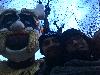 IMG 20150215 174250.jpg