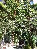IMG 20160521 142950.jpg