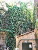 IMG 20160521 142957.jpg