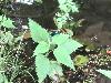 IMG 20160528 132623.jpg