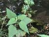 IMG 20160528 132640.jpg