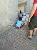 IMG 20170702 131839.jpg