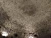 IMG 20170702 134037.jpg