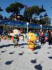 IMG 20171021 121350.jpg