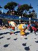 IMG 20171021 121351.jpg