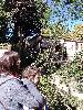 IMG 20171101 123033.jpg