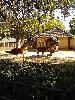 IMG 20171101 123539.jpg