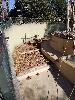 IMG 20171101 130254.jpg
