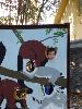 IMG 20171101 132241.jpg