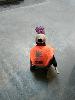 IMG 20171105 111153.jpg