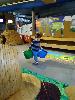IMG 20171105 113606.jpg