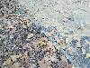 IMG 20171208 144612.jpg