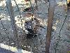 IMG 20171208 150644.jpg