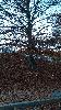 IMG 20171208 152559.jpg