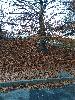 IMG 20171208 152613.jpg
