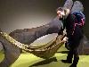 IMG 20171230 121904.jpg