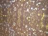 IMG 20180217 141633.jpg