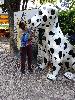 IMG 20180513 155604.jpg