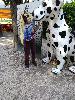 IMG 20180513 155608.jpg