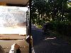 IMG 20180519 180942.jpg