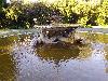IMG 20180519 181018.jpg