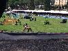 IMG 20180526 143619.jpg