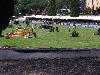 IMG 20180526 143627.jpg