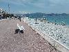 IMG 20180603 124723.jpg