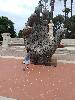IMG 20180603 194649.jpg