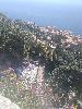 IMG 20180609 122302.jpg