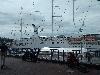 IMG 20180611 111748.jpg