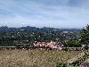 IMG 20180624 111153.jpg