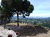 IMG 20180624 111204.jpg